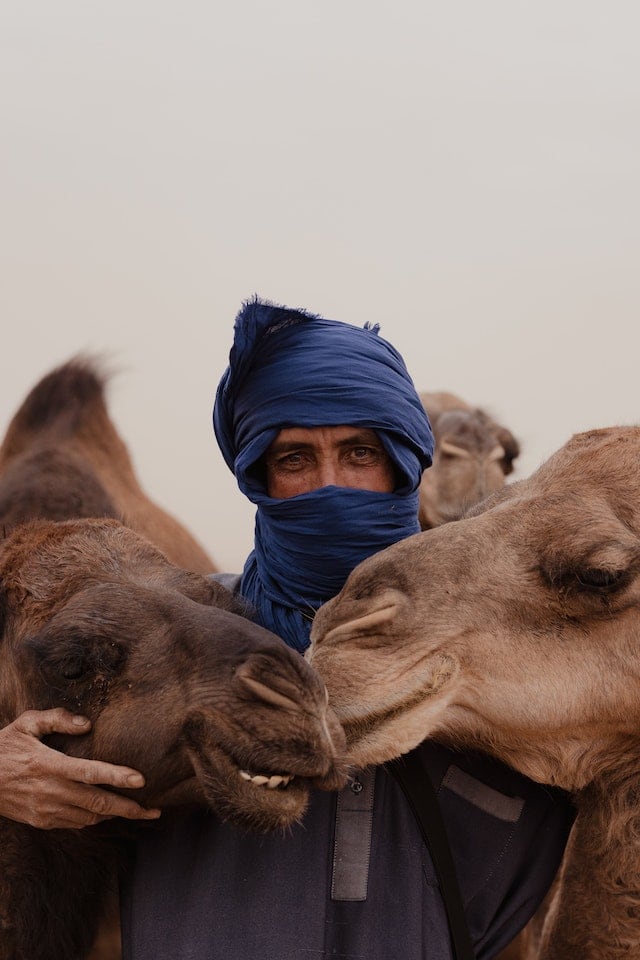 Moroccan man in desert with camels